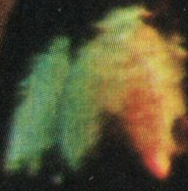 Capture-d’écran-2014-05-22-à-15.09.06.png Capture-d’écran-2014-05-22-à-15.09.06.png