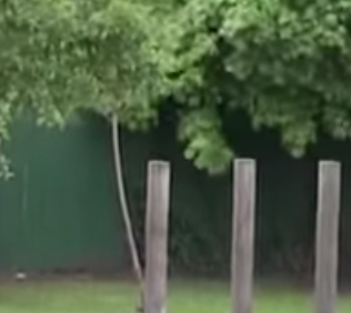 Capture-d’écran-2015-07-06-à-18.30.40.png Capture-d’écran-2015-07-06-à-18.30.40.png