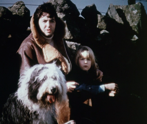 12-1-1.png 12-1-1.png