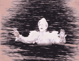 20.gif 20.gif