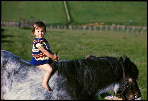 image-2.png image-2.png