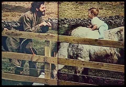 image-4-1.jpg image-4-1.jpg